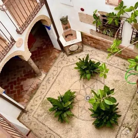 Buhardilla De Wallada Apartment