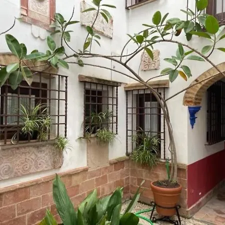 Apartamento Buhardilla De Wallada *