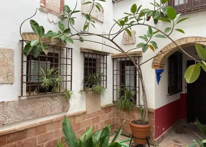 Apartamento Buhardilla De Wallada *